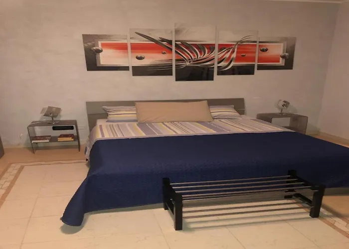  B&B Camelie