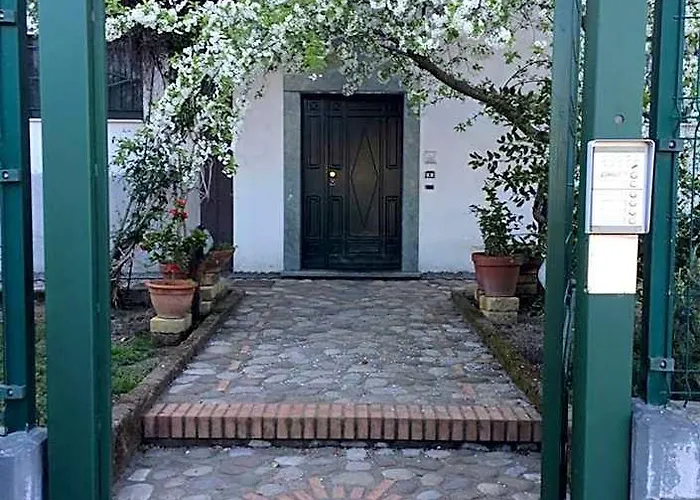  B&B Camelie